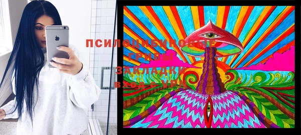 твердый Нягань