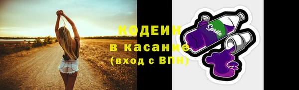 мет Няндома