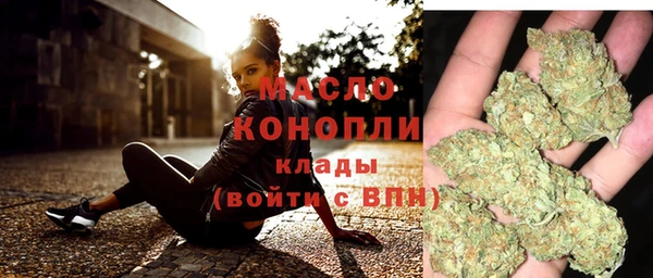 мет Няндома