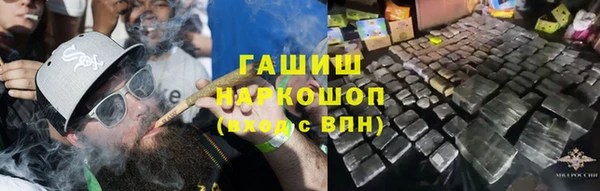 мет Няндома