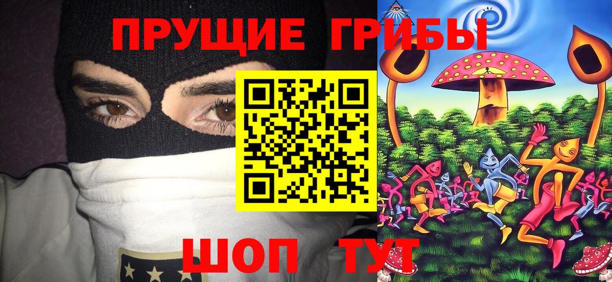 Галлюциногенные грибы MAGIC MUSHROOMS  Вход с VPN  Людиново  Галлюциногенные грибы Cubensis 